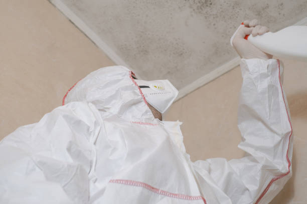 Best Commercial Mold Remediation in Valenti, NE